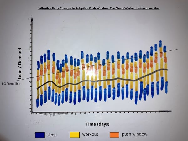 Graph A: Indicative Daily Changes in Adaptive Push Window: The Sleep-Workout Interconnection